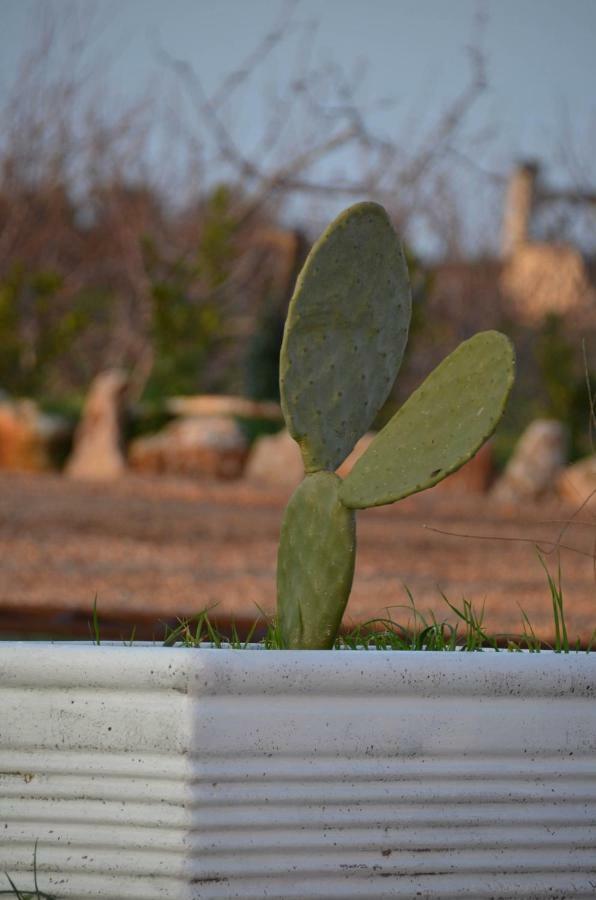 كونفيرسانو Masseria Poli Country House المظهر الخارجي الصورة